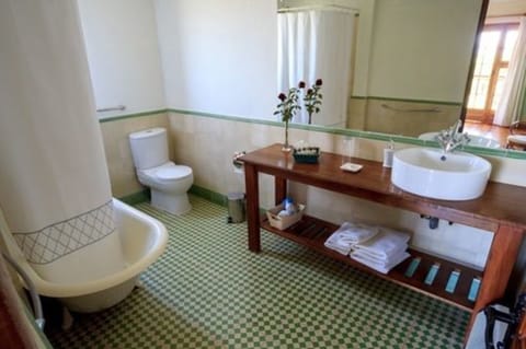 Suite | Bathroom | Shower, rainfall showerhead, free toiletries, hair dryer