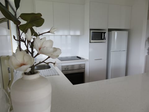 Apartment, 2 Bedrooms, Ensuite, Ocean View | Private kitchen | Full-size fridge, microwave, stovetop, dishwasher