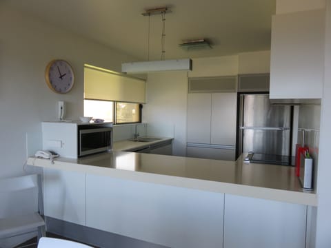 Apartment, 2 Bedrooms, Ocean View | Private kitchen | Full-size fridge, microwave, stovetop, dishwasher