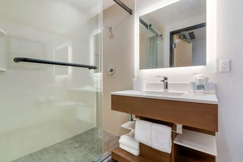 Combined shower/tub, hair dryer, towels