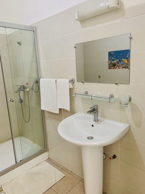 Deluxe Double Room | Bathroom | Shower, rainfall showerhead, hair dryer, towels