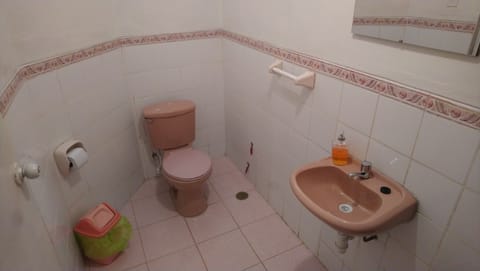 Standard Triple Room, Ensuite, Garden View | Bathroom | Shower, towels, soap, toilet paper