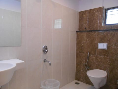 Shower, free toiletries, bidet, towels