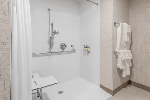 Suite, 1 King Bed with Sofa bed, Accessible (Mobility, Roll-In Shower) | Bathroom | Designer toiletries, hair dryer, towels, soap