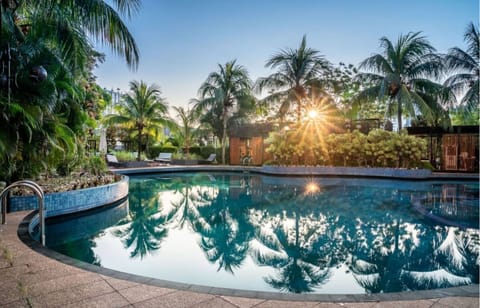 Outdoor pool, sun loungers