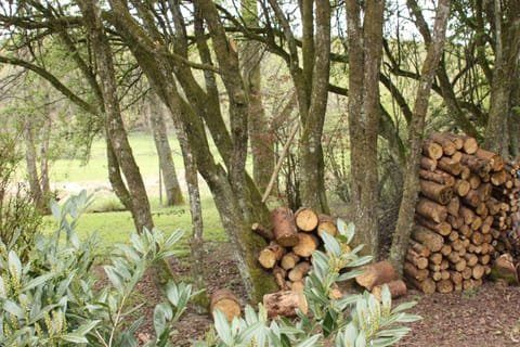 Family Cottage, Ensuite | 2 bedrooms