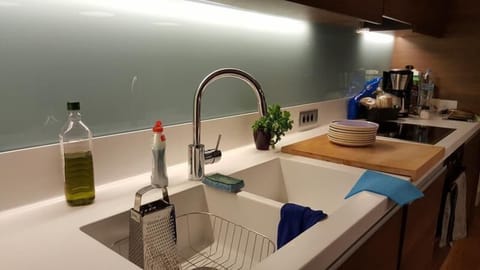 Luxury Apartment, 2 Bedrooms, 2 Bathrooms | Private kitchen | Full-size fridge, oven, stovetop, dishwasher