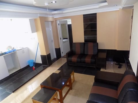 Superior Apartment | Living area | 43-inch LED TV with satellite channels, TV, Netflix