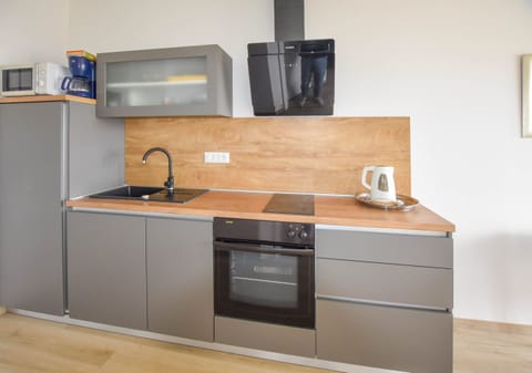 Apartment (A2) | Private kitchen