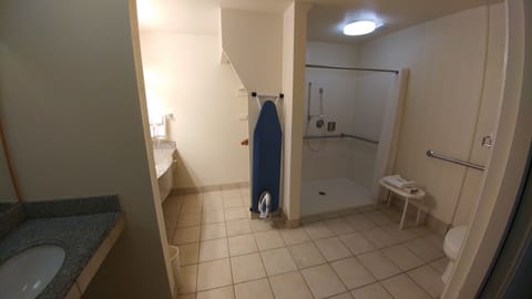 Combined shower/tub, free toiletries, hair dryer, towels