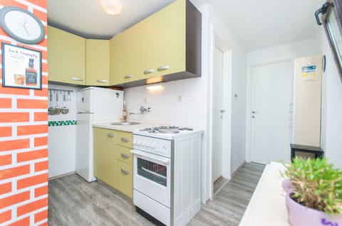 Apartment (A6) | Private kitchen | Fridge, electric kettle