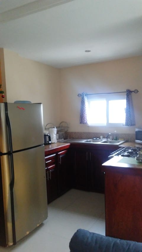 Family Apartment, 2 Bedrooms, Kitchen, City View (Skyline) | Private kitchen | Fridge, microwave, toaster, blender