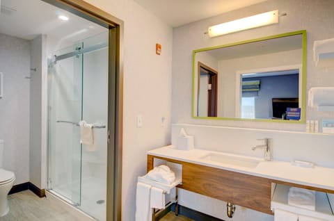 Suite, 1 King Bed, Accessible | Bathroom shower