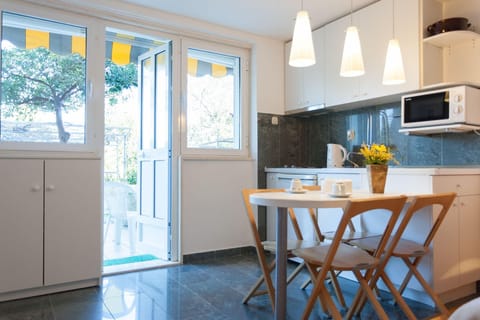 Studio, Terrace (0 Bedroom) | Private kitchen | Fridge, microwave, stovetop, coffee/tea maker