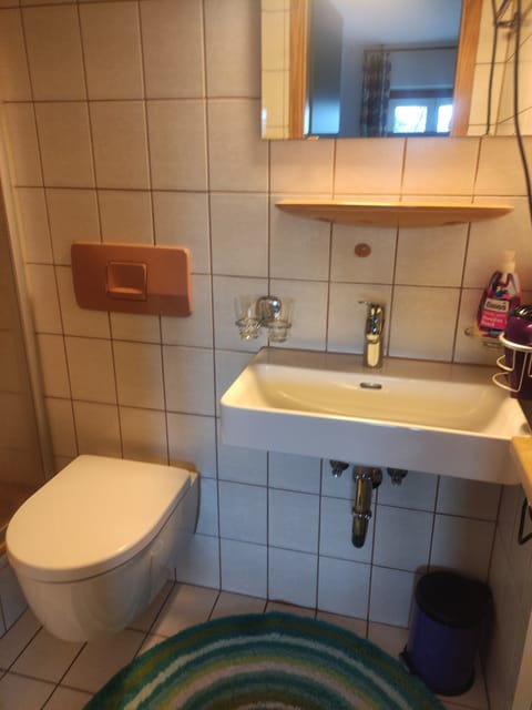 Double Room, Balcony | Bathroom | Shower, free toiletries, hair dryer, towels