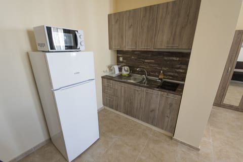 Family Studio, Balcony | Private kitchenette | Fridge, microwave, stovetop, dishwasher