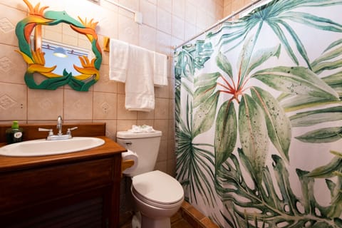 Shower, eco-friendly toiletries, hair dryer, towels