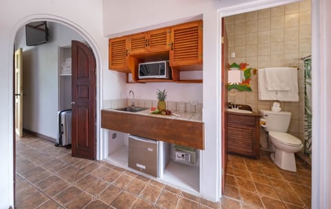 Deluxe Suite, Non Smoking, Kitchenette | Private kitchenette | Fridge