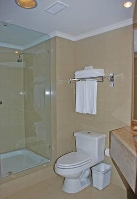 Combined shower/tub, free toiletries, hair dryer, towels