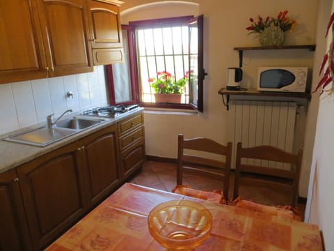 Apartment, 2 Bedrooms | Private kitchen | Fridge, stovetop, dishwasher, electric kettle