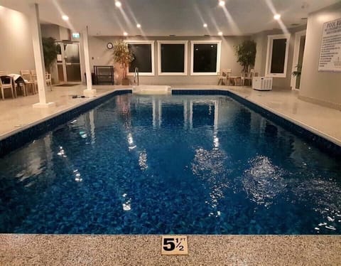 Indoor pool, sun loungers