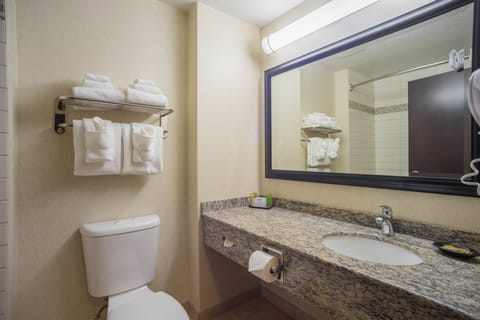 Combined shower/tub, free toiletries, hair dryer, towels