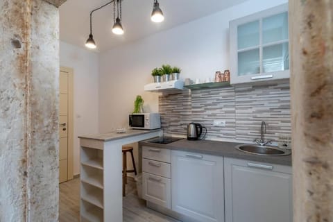 Studio Apartment Adriana | Private kitchen | Fridge, electric kettle, cookware/dishes/utensils, paper towels