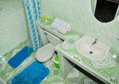 Elite Triple Room | Bathroom | Shower, rainfall showerhead, free toiletries, hair dryer