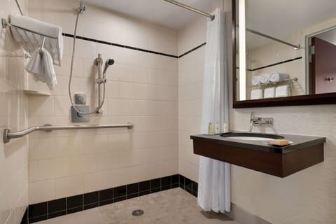 Combined shower/tub, free toiletries, hair dryer, towels