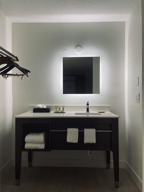 Room, 1 King Bed, Non Smoking (Atrium) | Bathroom sink