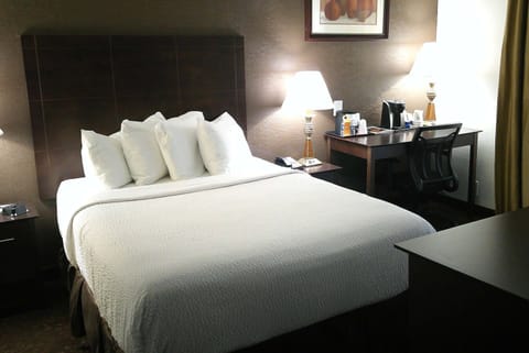 Hypo-allergenic bedding, desk, laptop workspace, blackout drapes