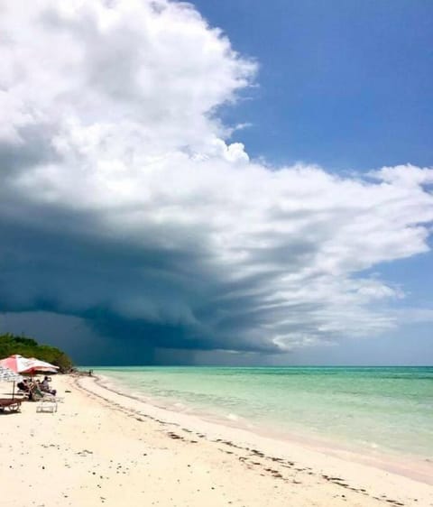 On the beach, white sand, beach shuttle