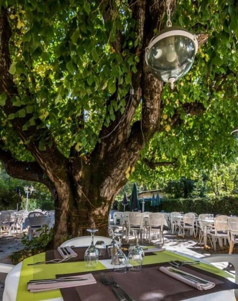 Lunch and dinner served, French cuisine