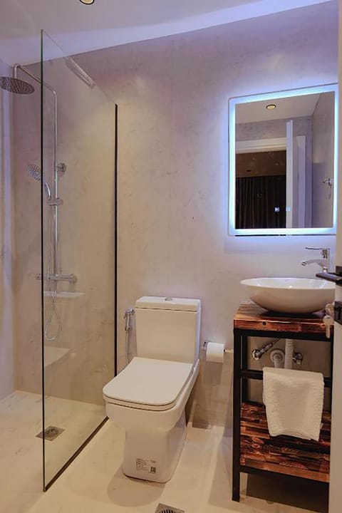 Deluxe Double Room | Bathroom | Shower, rainfall showerhead, hair dryer, slippers