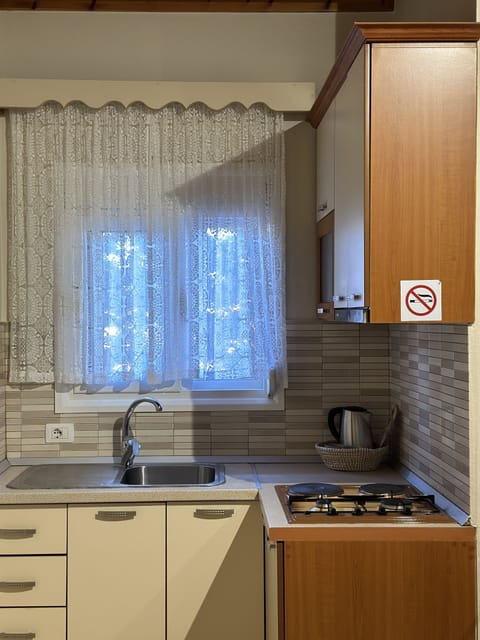 Family Suite, Balcony | Private kitchen | Fridge, stovetop, freezer, paper towels