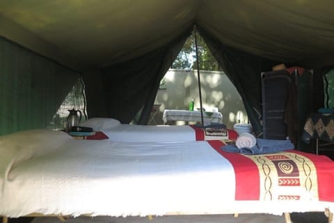 Tent | Desk, bed sheets