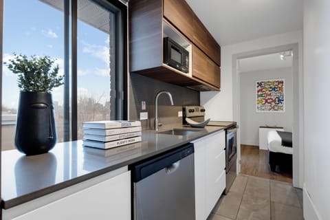 City Apartment, 1 Bedroom, Patio, City View (Soho 4) | Private kitchen | Full-size fridge, microwave, oven, stovetop