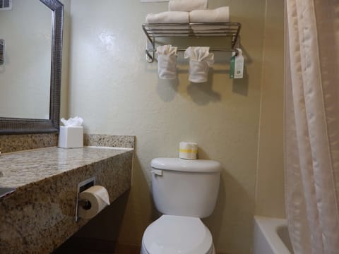 Combined shower/tub, free toiletries, hair dryer, towels