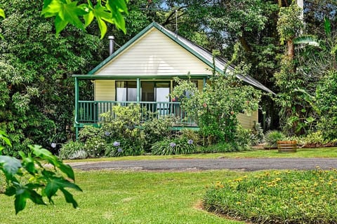 Lorikeet Luxury Cottage | Terrace/patio