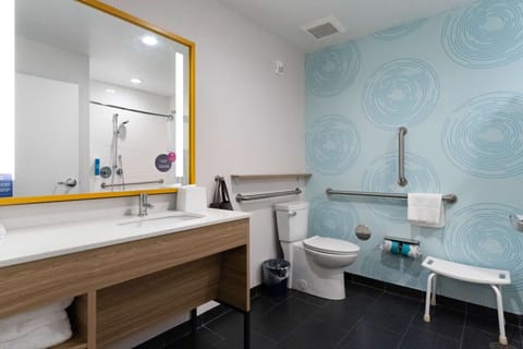 Room, 1 King Bed, Accessible (Roll-In Shower) | Bathroom | Combined shower/tub, free toiletries, hair dryer