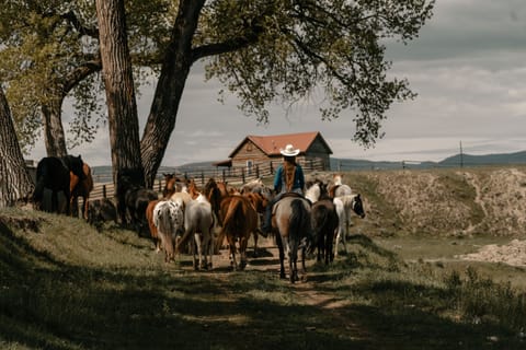 Horseback riding