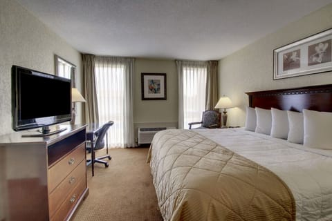 Deluxe Single Room | Desk, laptop workspace, blackout drapes, iron/ironing board