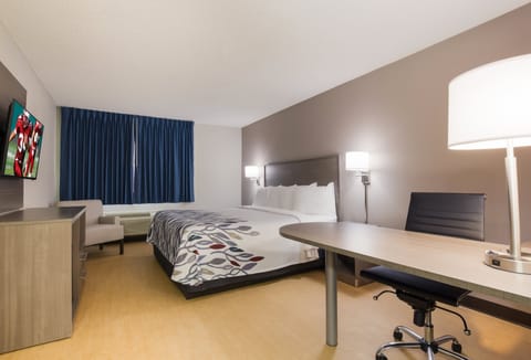 Superior Room, 1 King Bed, Non Smoking | Laptop workspace, blackout drapes, free cribs/infant beds, free WiFi