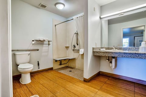 Standard Room, 1 King Bed, Accessible, Non Smoking | Bathroom | Combined shower/tub, towels