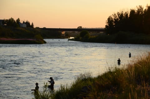 Fishing