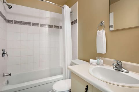 Combined shower/tub, free toiletries, hair dryer, towels