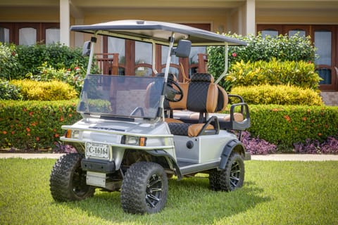 Golf cart