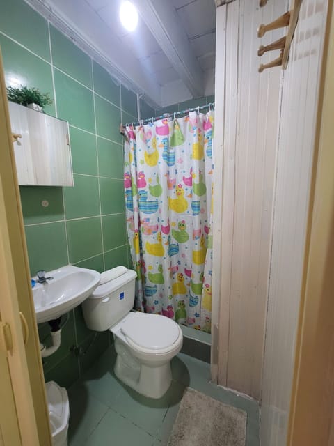 Standard Double Room (#3) | Bathroom | Shower, rainfall showerhead, towels