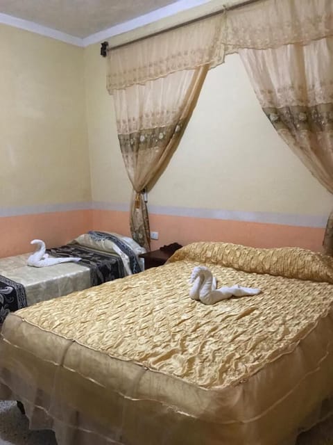 Traditional Single Room | Minibar, individually furnished, iron/ironing board, free WiFi