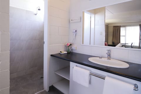 Deluxe Queen | Bathroom | Shower, free toiletries, hair dryer, towels